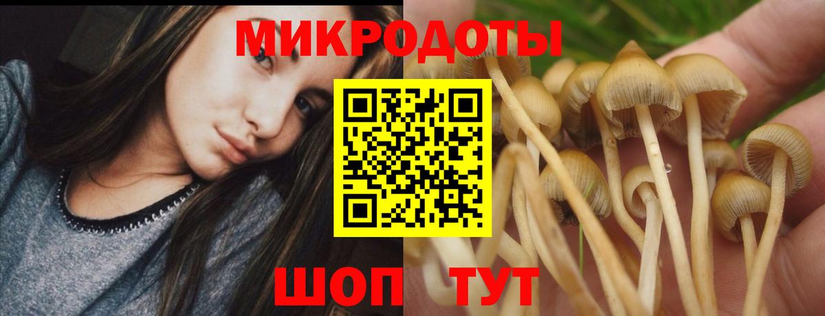 Галлюциногенные грибы Psilocybine cubensis  Псилоцибиновые грибы прущие грибы  Вход с VPN  Курск 